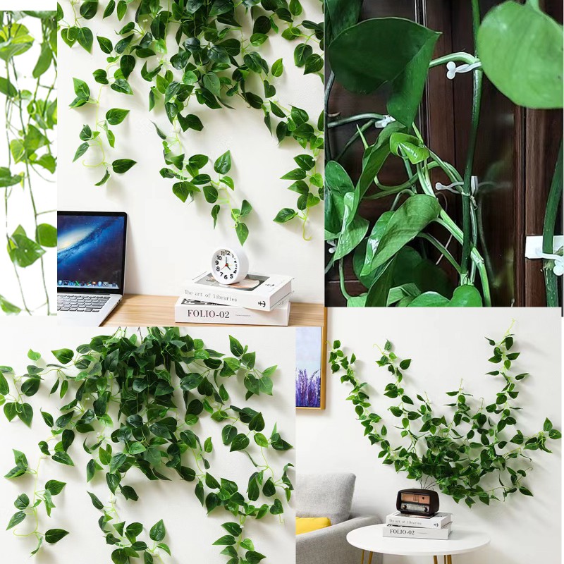 kissral Plant Clips Large Pack of 50 Wall Mounts for Plants, Climbing Plant Mounting Brackets for Plants Securing Supports (White)